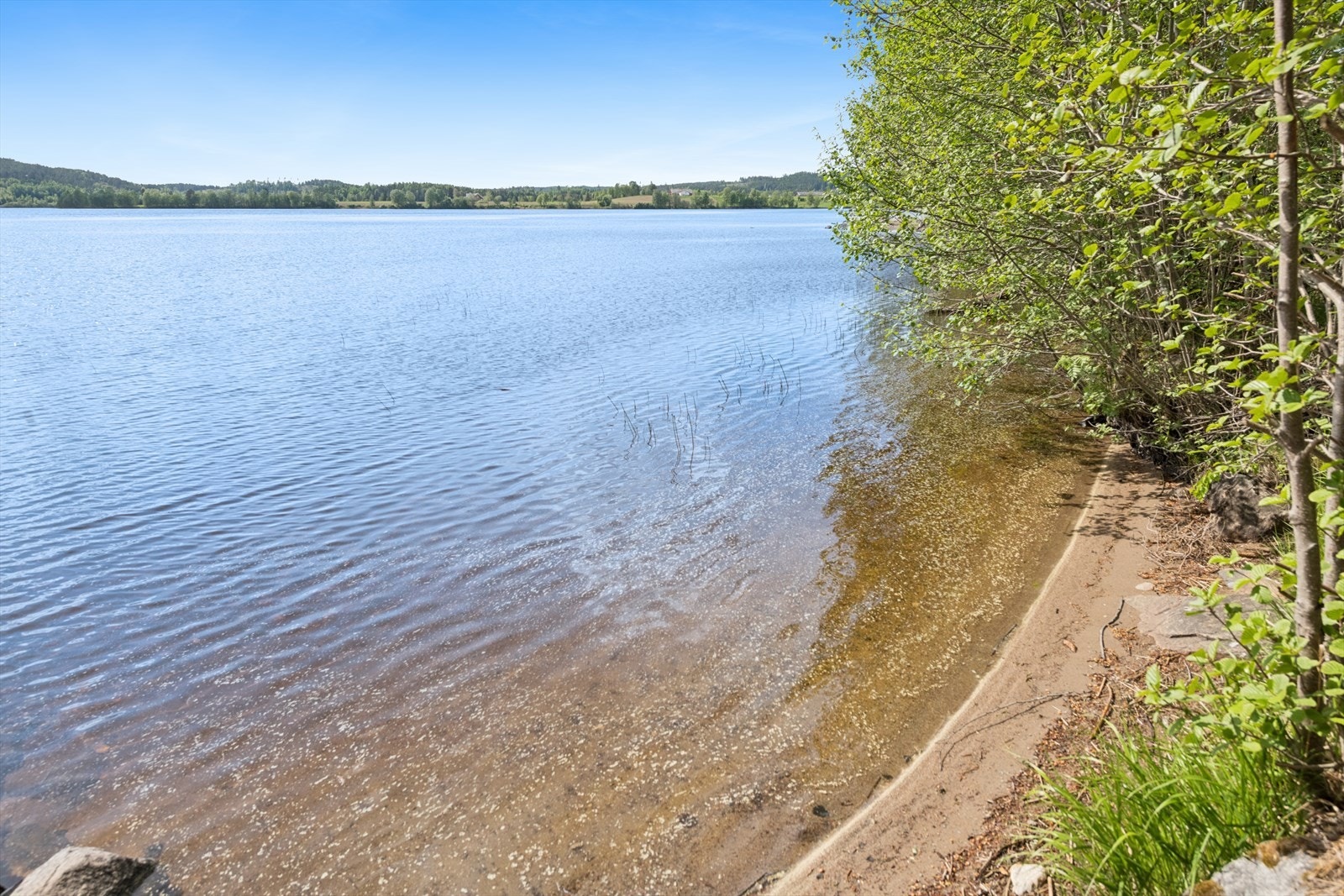 En liten, naturlig sandstrand gir enkel og barnevennlig tilgang til vannet for bading. Galleribilde