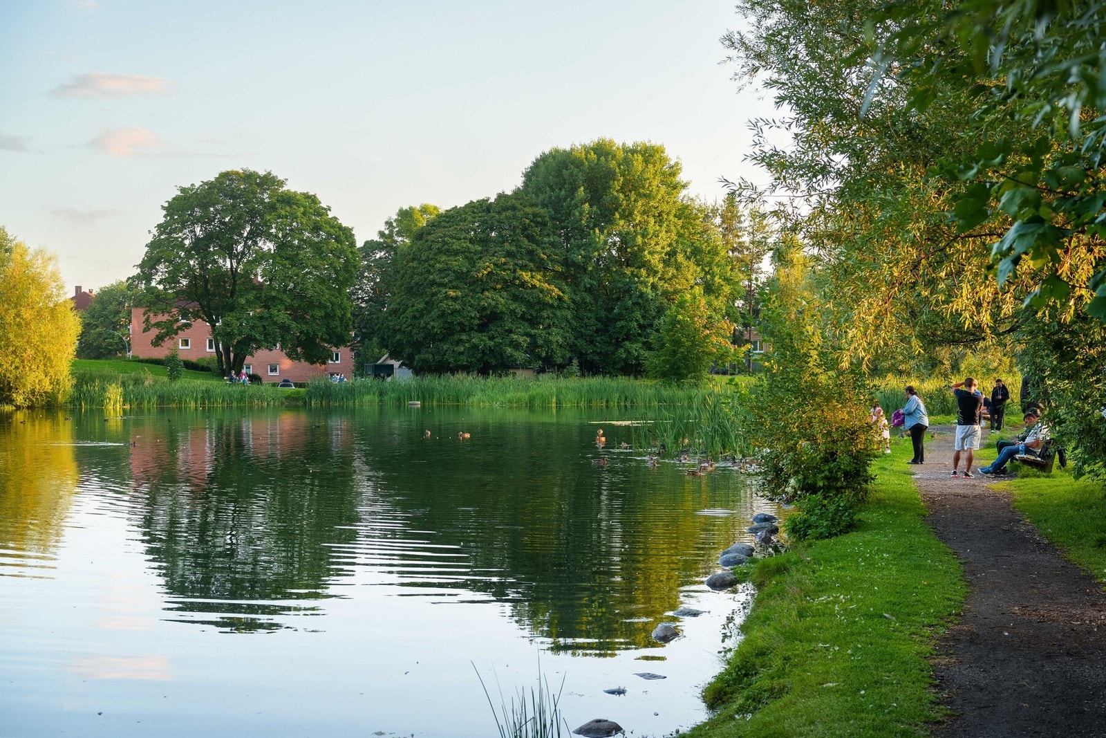 Kort vei til Hovindammen, et grønt og idyllisk nærområde med flotte turstier, vannspeil og hyggelige rekreasjonsmuligheter året rundt. Galleribilde