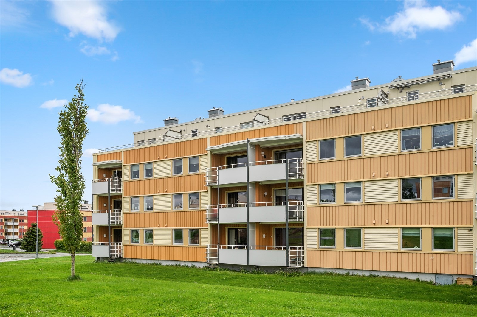 Velkommen til en hyggelig visning! Galleribilde