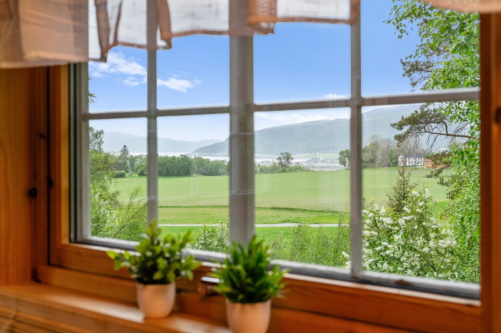 Flott utsikt å nyte fra stuen. Galleribilde