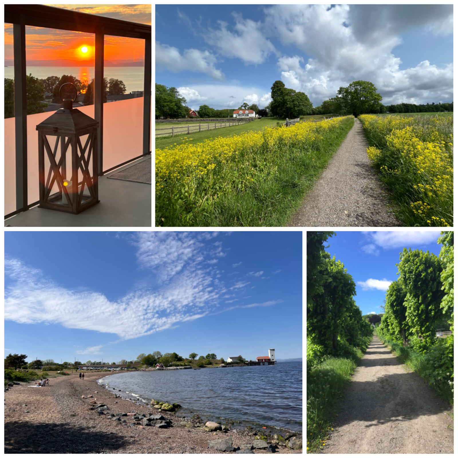 Her bor du i et attraktivt nærområde på Jeløy med kort vei til stranden, vakker natur og flotte turmuligheter året rundt. Galleribilde