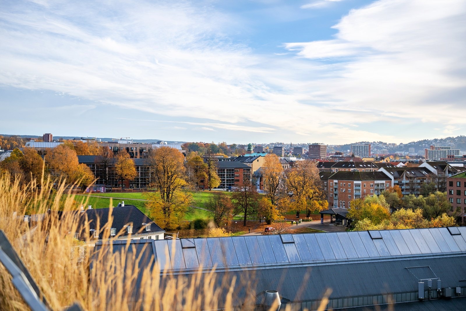 Utsikt fra felles takterrasse over Grünerløkka og nærområdet. Galleribilde