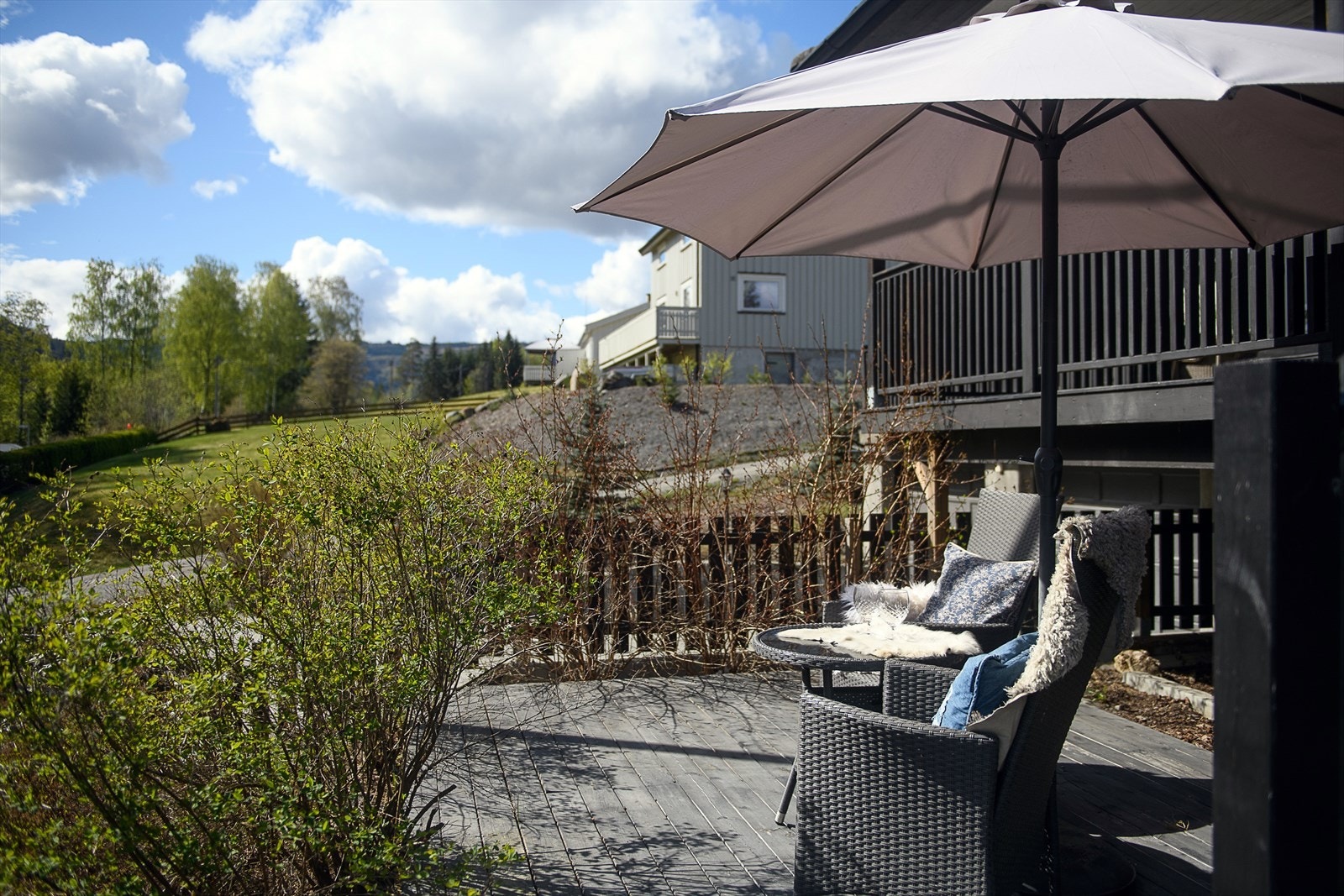 En usjenert krok i hagen, perfekt for en rolig stund. Galleribilde