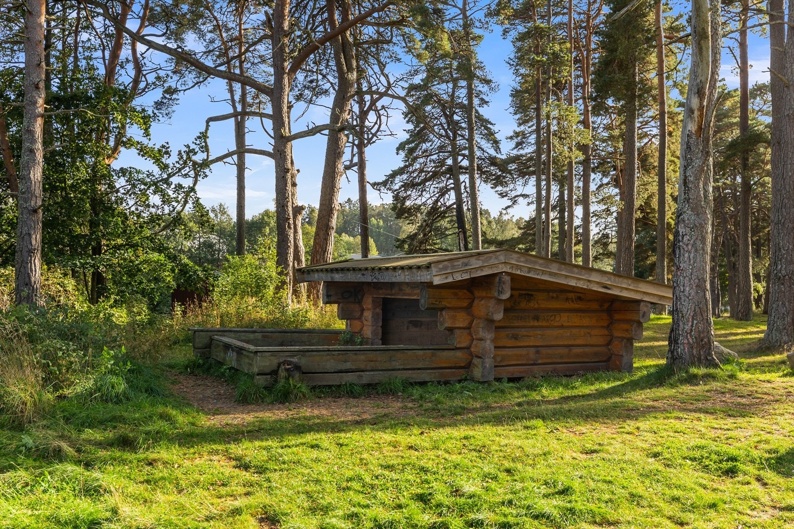Gapahauk Vadet.jpg Galleribilde