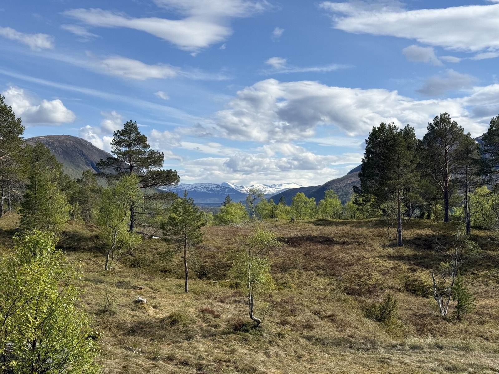 Nærområdet Galleribilde