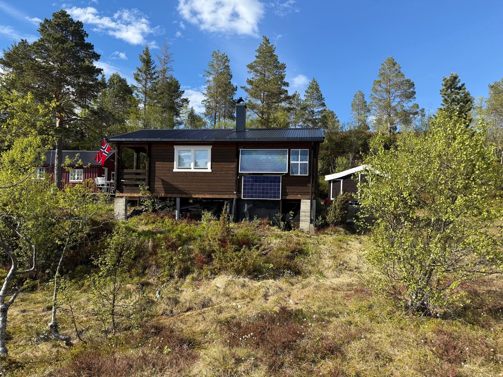 Ørnora Galleribilde