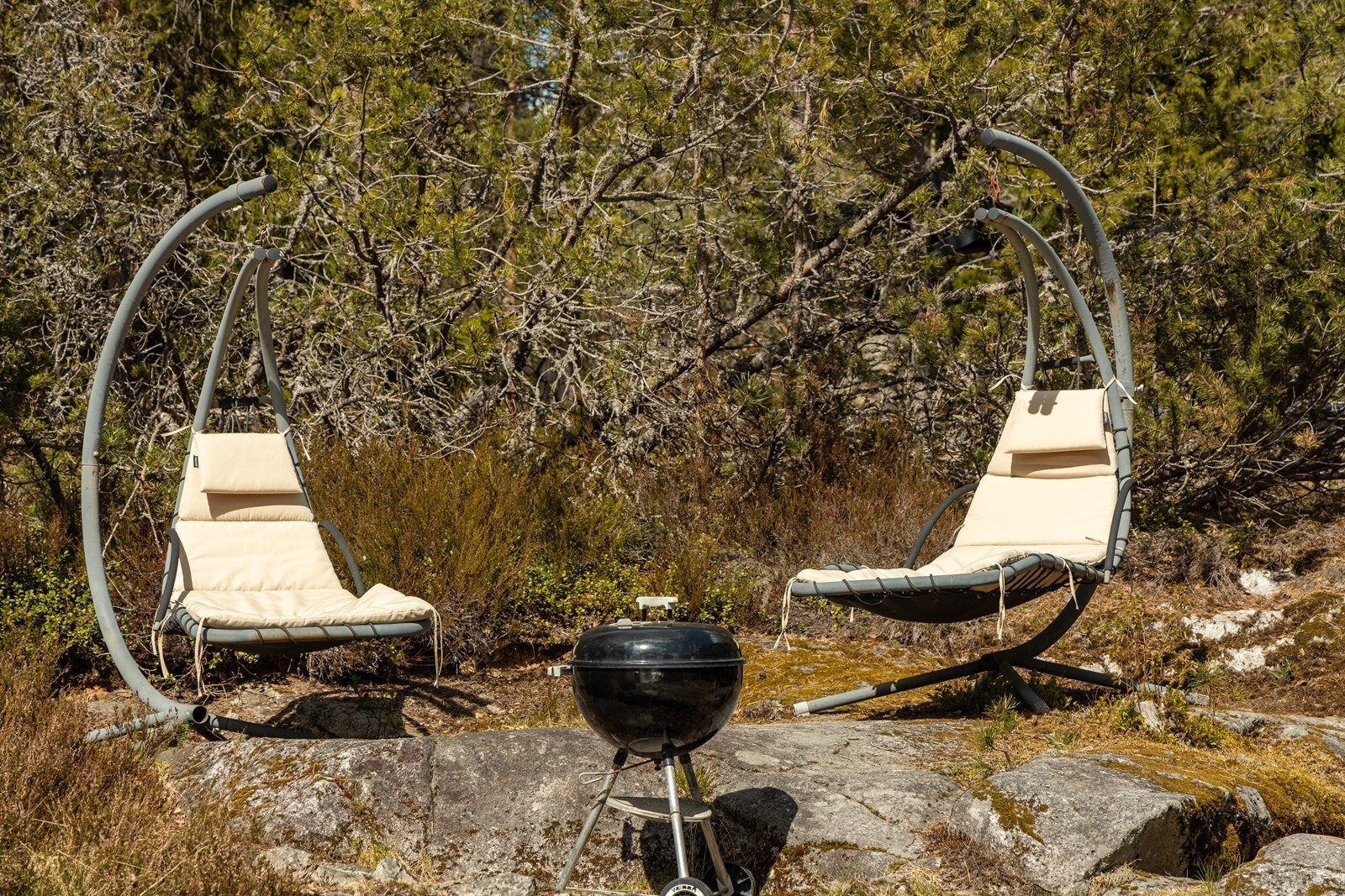 I skogen rundt hytteområdet kan du plukke sopp og bær når det er sesong for det. Her er det også et rikt dyreliv, og er du heldig er det mulig å både se og høre flere gjennom året. Galleribilde