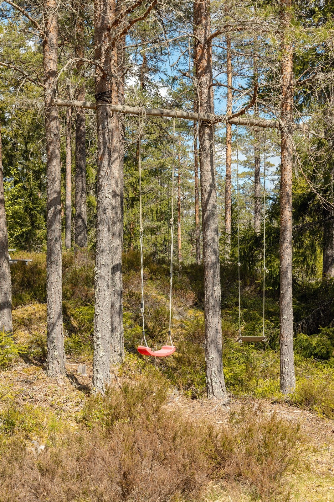 Et eldorado for barn - frilek i skog og mark, og et lite huskestativ i tillegg! Galleribilde