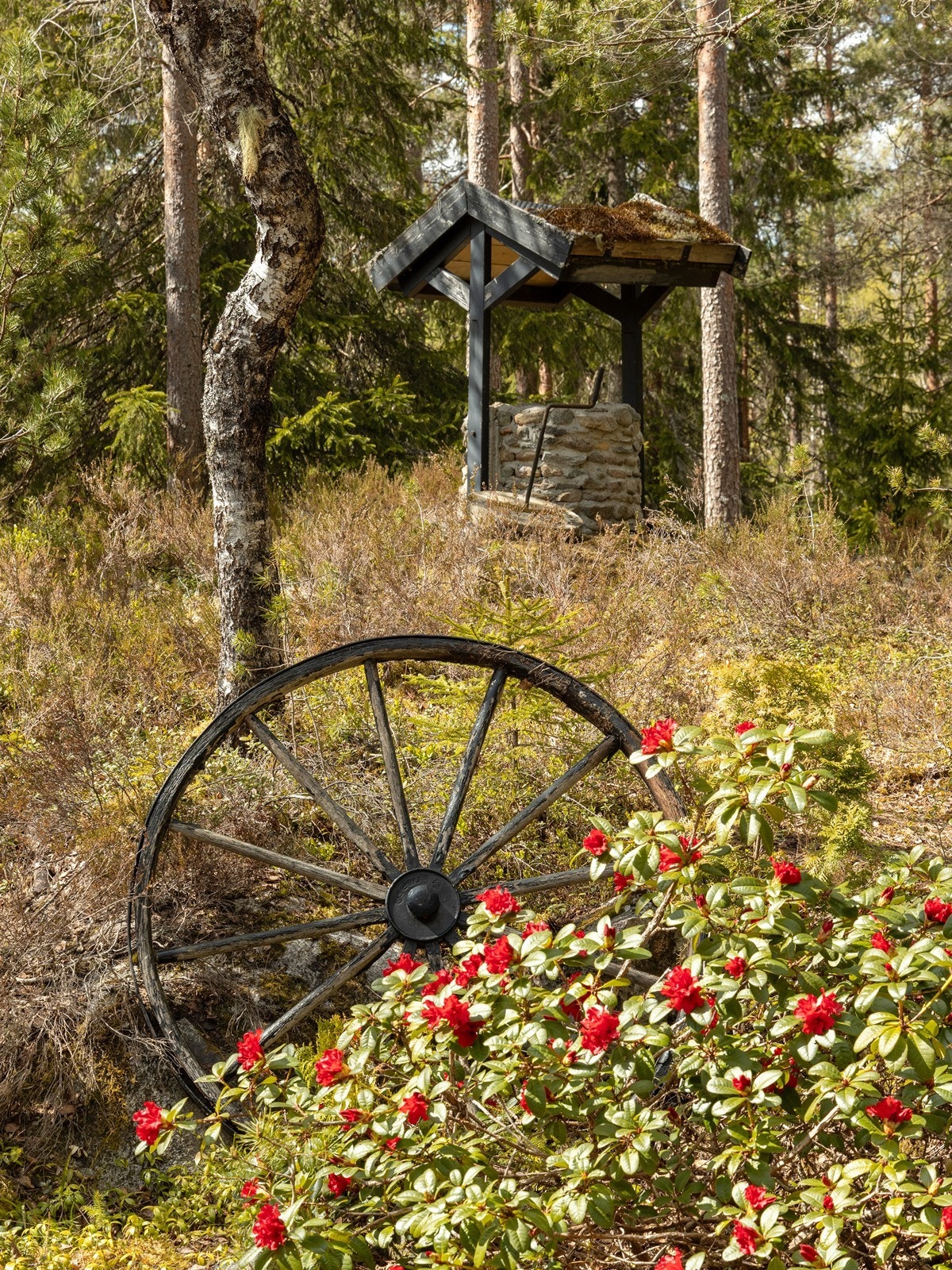 Hytta er bygd på en festetomt på ca 11 mål og ligger i et idyllisk, usjenert område med naturen tett på. Festeavgiften er betalt frem til 2077. Galleribilde