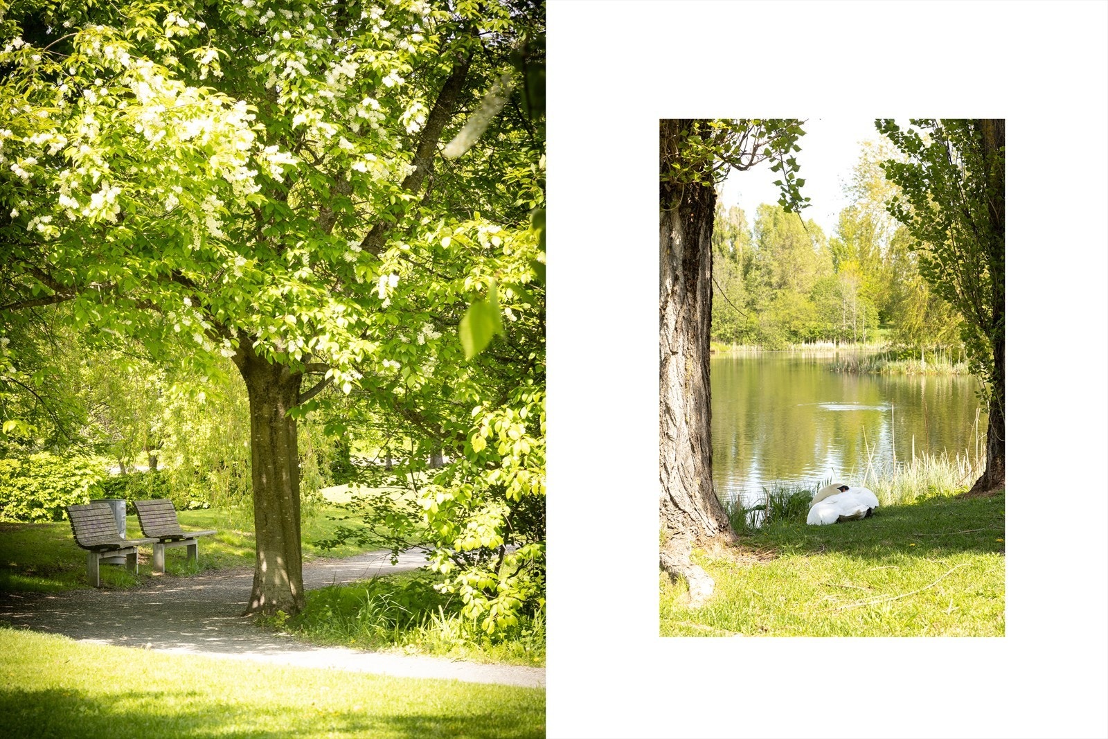 Umiddelbar nærhet til Smestaddammen, et idyllisk turområde for rekreasjon og rolige spaserturer. Galleribilde