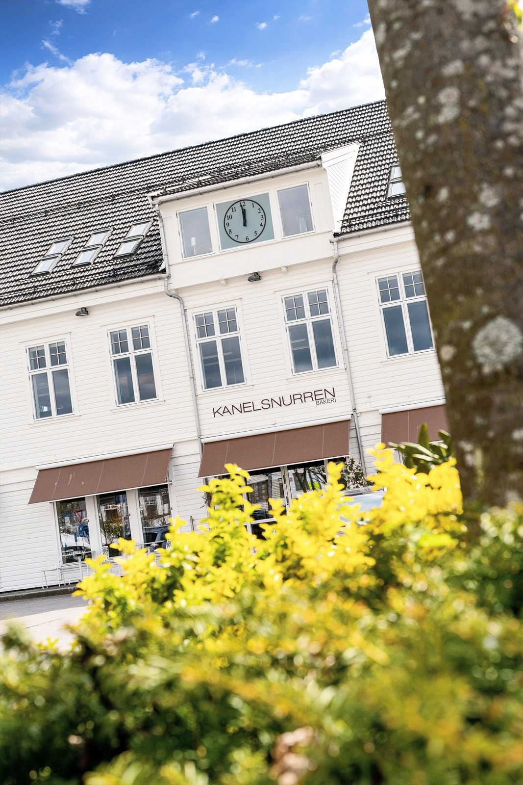 Nærområde. Galleribilde