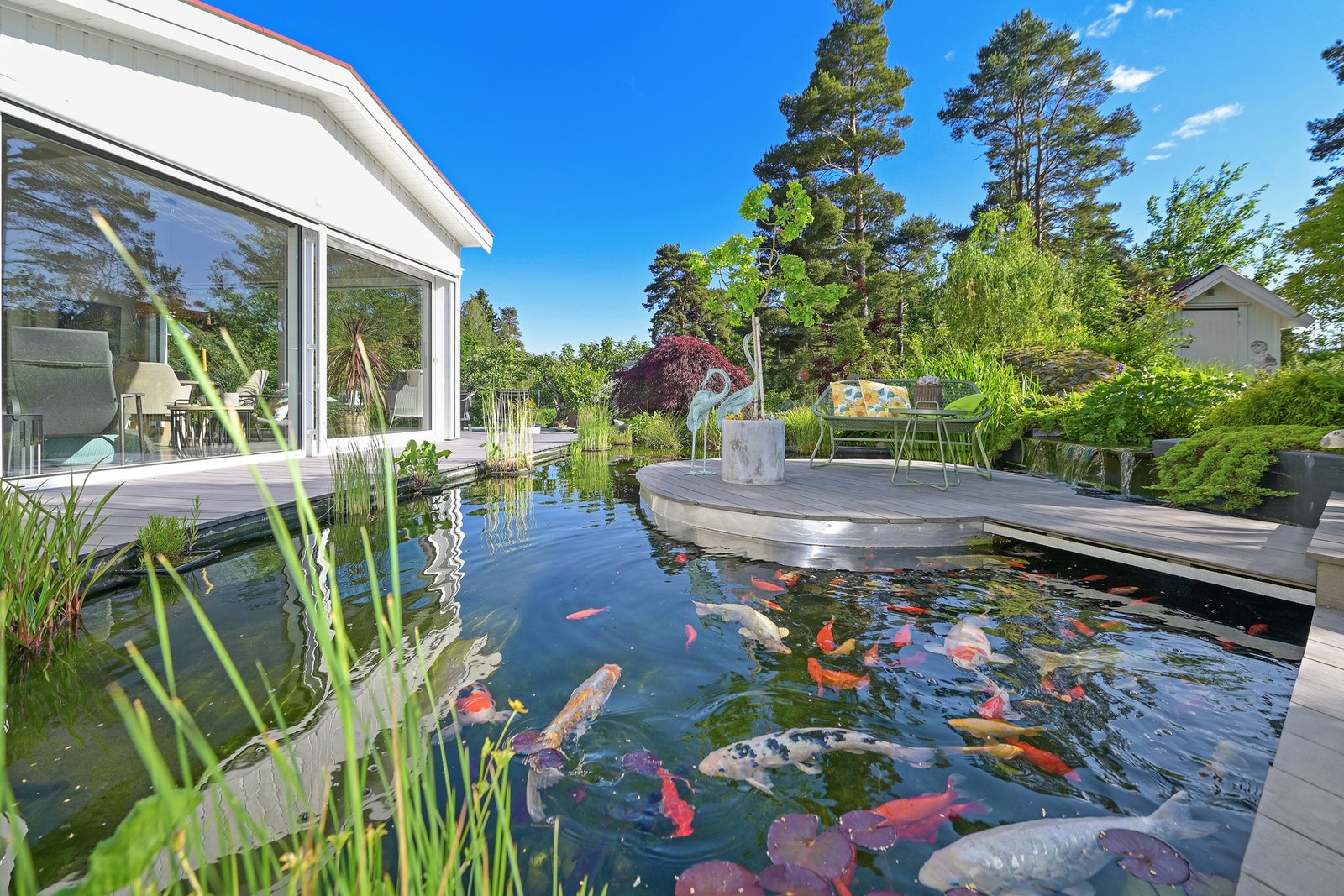 Fiskedam med eget pumpehus Galleribilde