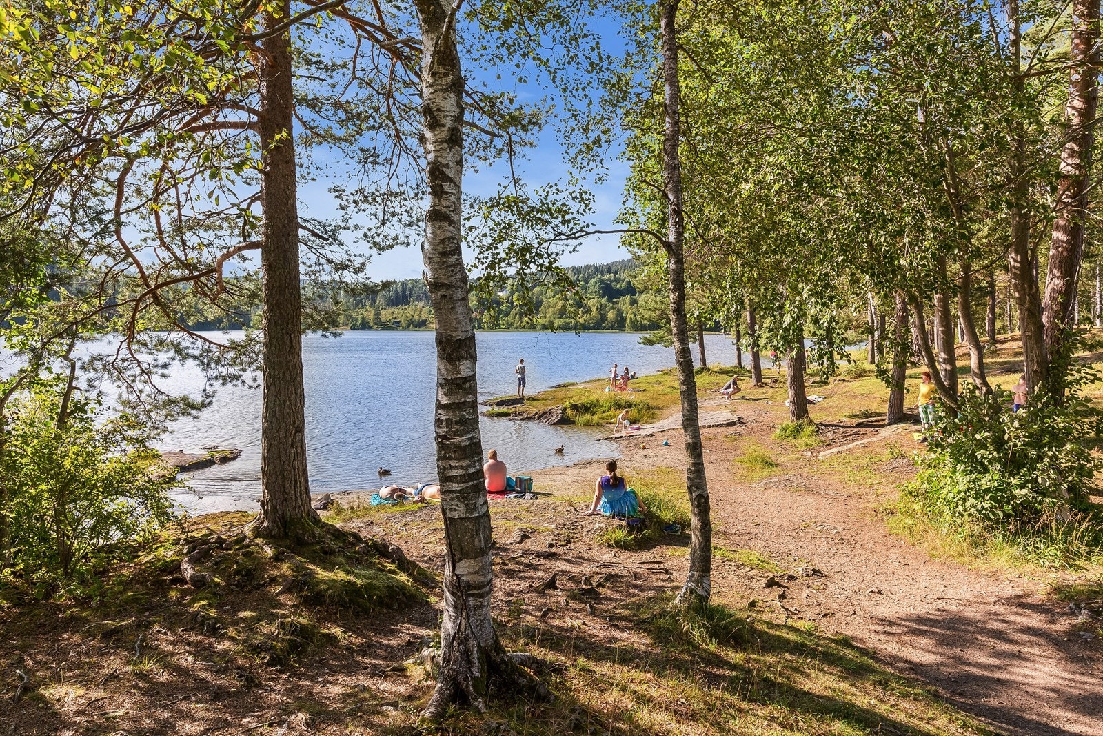 Stordammen er et flott badested sommerstid Galleribilde