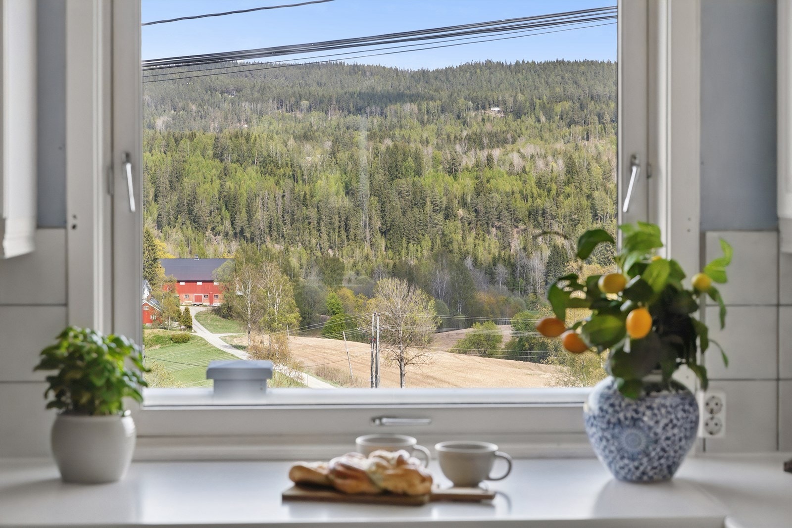 Fra kjøkkenvinduet kan du nyte utsikten over det landlige nærområdet. Galleribilde