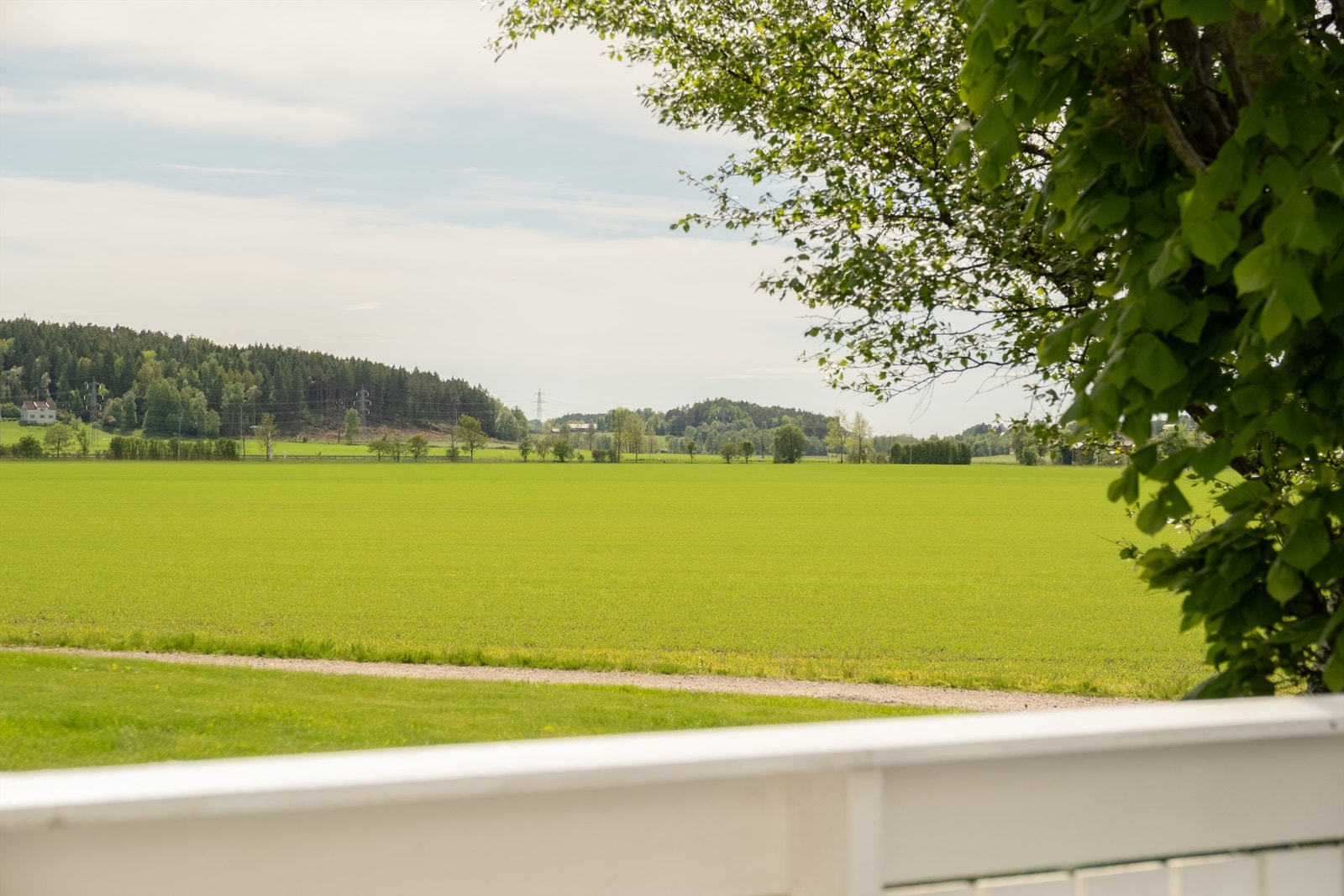 I Vesten Vestre 7 kan du bo oppriktig tilbaketrukket midt mellom byene, omgitt av et vakkert landskap. Fotograf; Kristoffer Kristiansen. Galleribilde