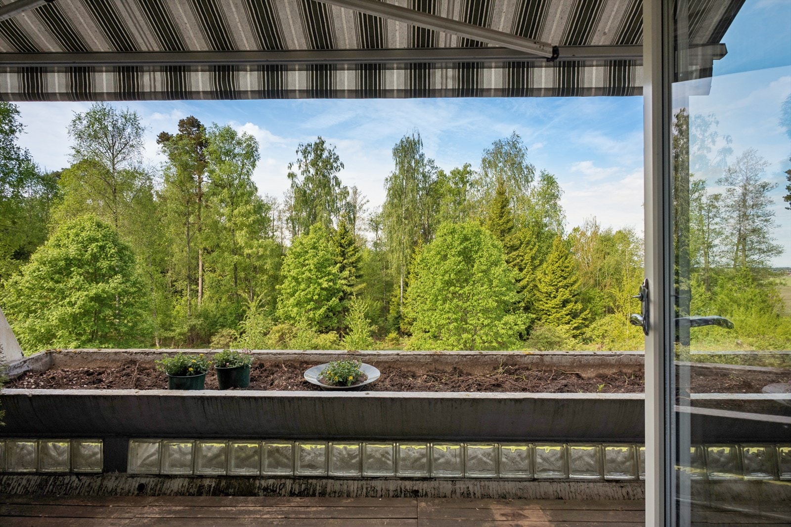 Utsikt mot skog og natur. Galleribilde