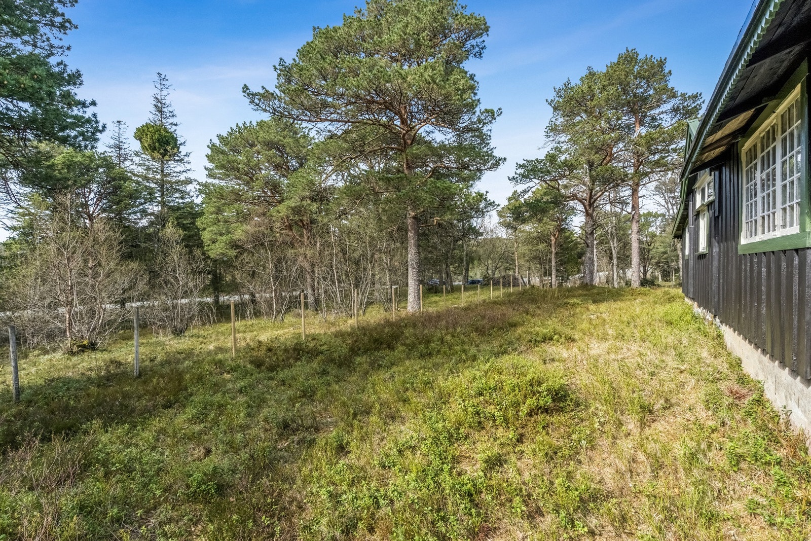Tomten gir rikelig med plass for lek og utendørsaktiviteter. Galleribilde