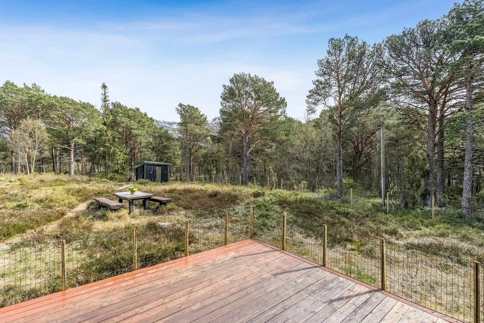 Fra markplattingen har du utsikt over den store naturtomten. Her er det god plass for uteliv og aktiviteter. Galleribilde