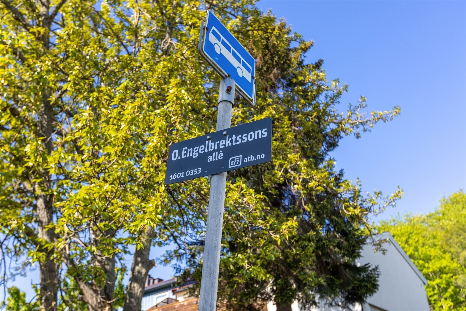 Busstoppet Olav Engelbrektssons allé ligger kun ett minutts gange unna, med hyppige avganger. Galleribilde