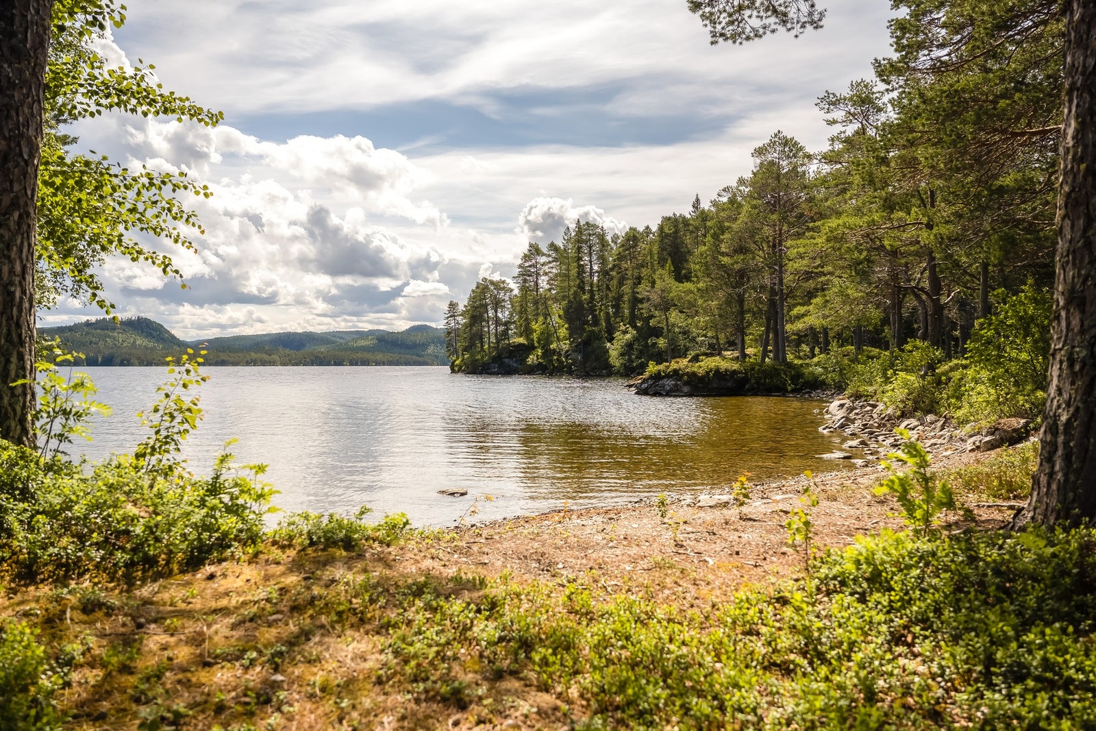 Nyt sommeren på en skjermet og privat strand Galleribilde
