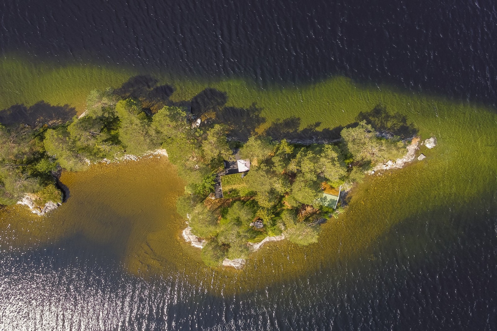 Odden er på 1,34 mål med tilgang fra både sjøen og skogssti. Egen strandlinje Galleribilde