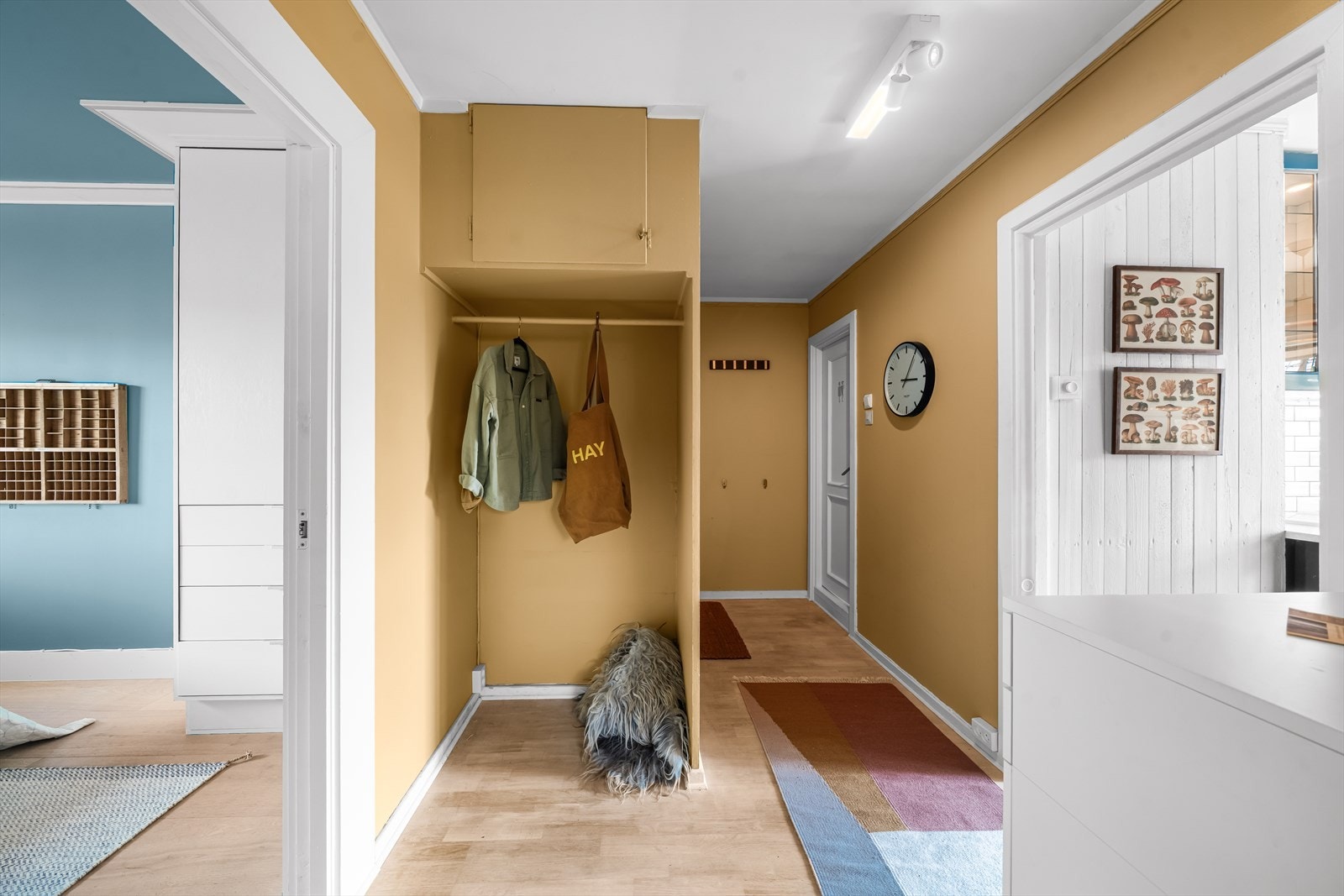 Entrè/gang med god plass til å henge fra seg yttertøy og sette fra seg sko Galleribilde