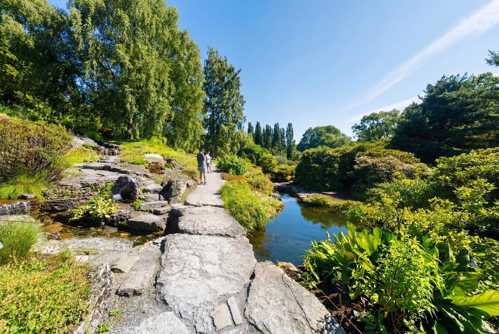 Områdebilde - Botanisk hage. Galleribilde