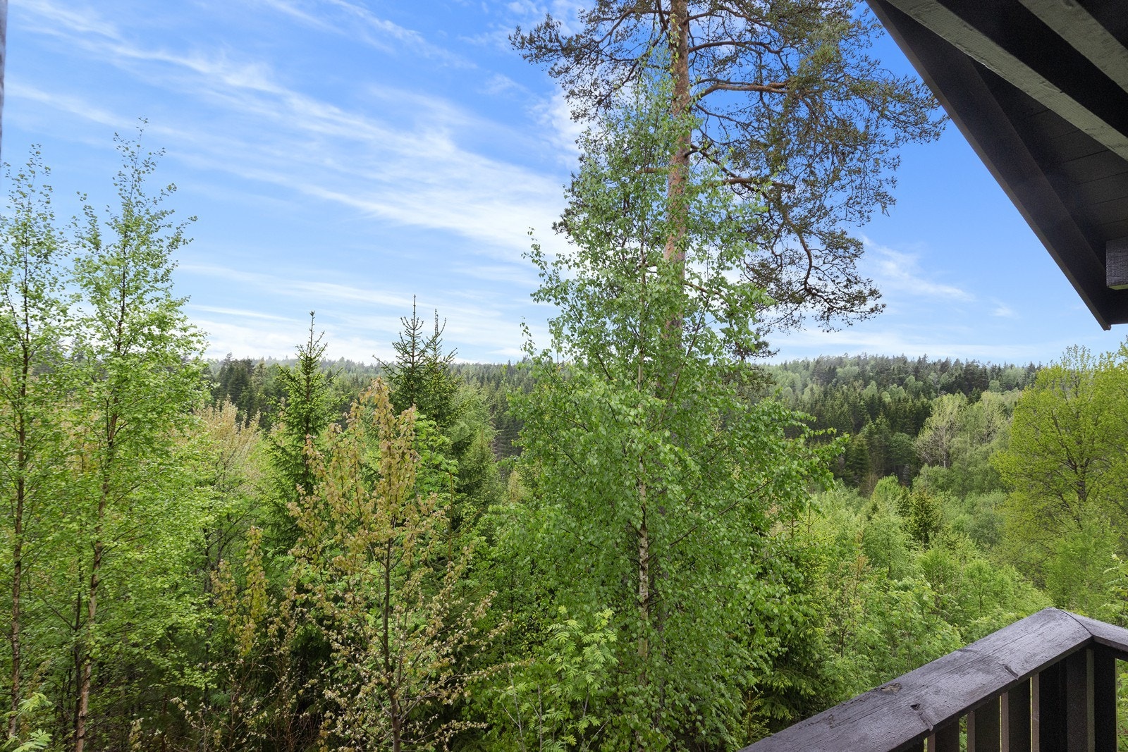Eiendommen byr på panoramautsikt over omkringliggende skog og landskap. Galleribilde