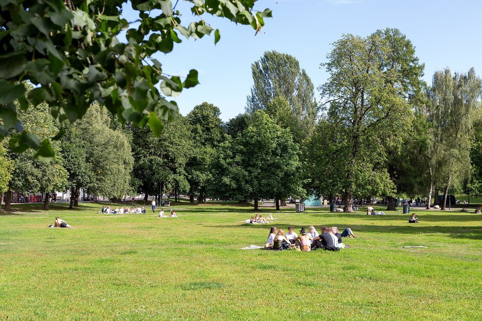 Populær park i nærområdet med åpne gressflater og gode rekreasjonsmuligheter Galleribilde