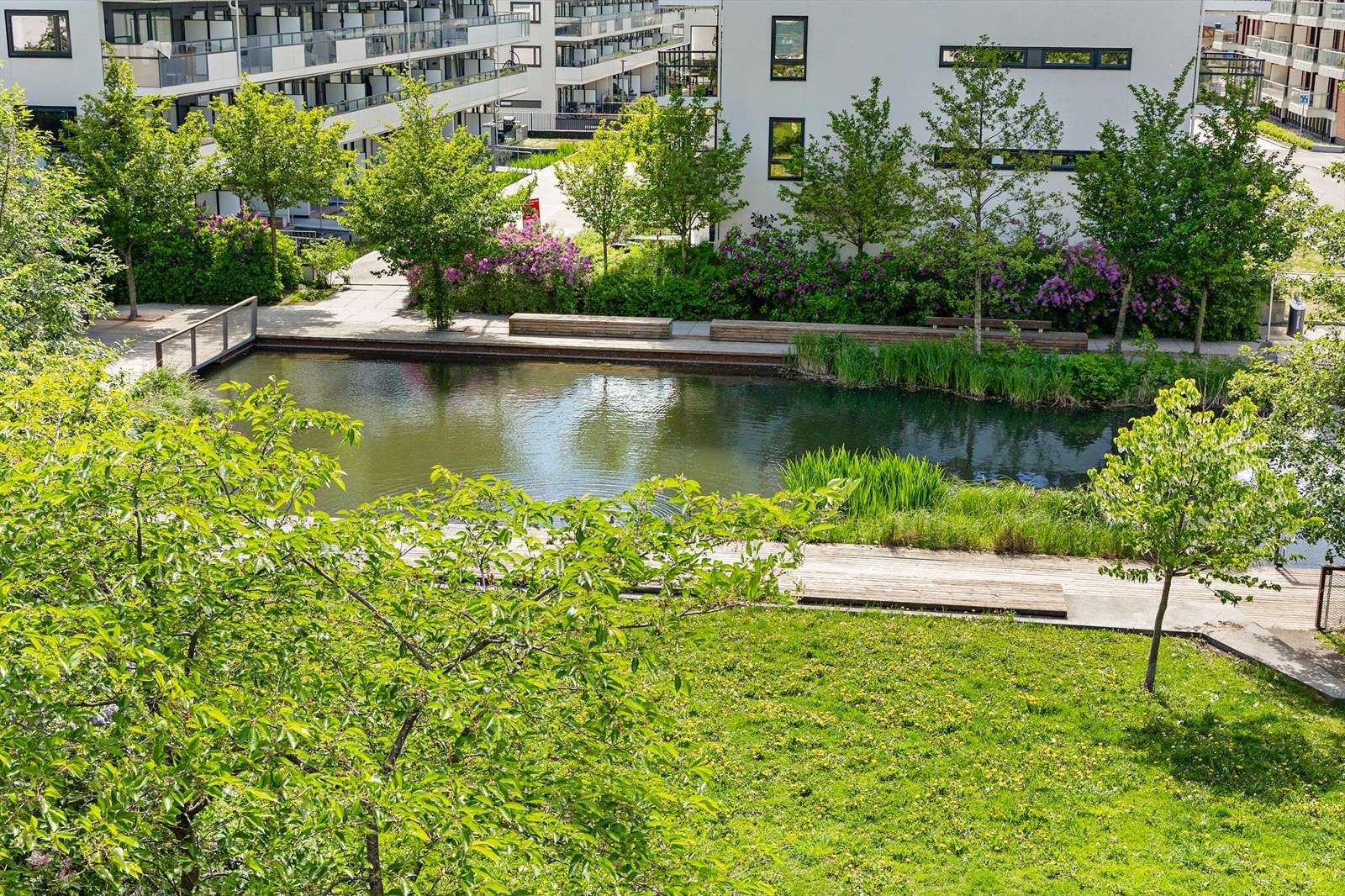 Fellesområdet like utenfor balkongen har et nydelig vannspeil Galleribilde