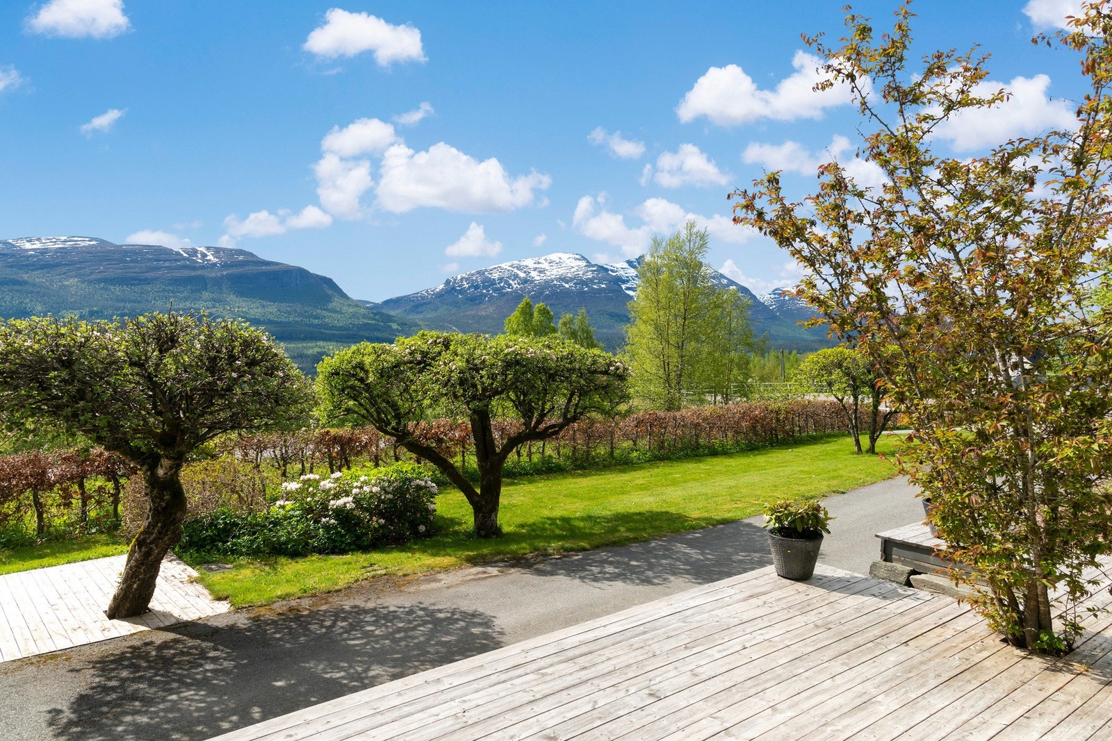Stor markterrasse mot vest Galleribilde