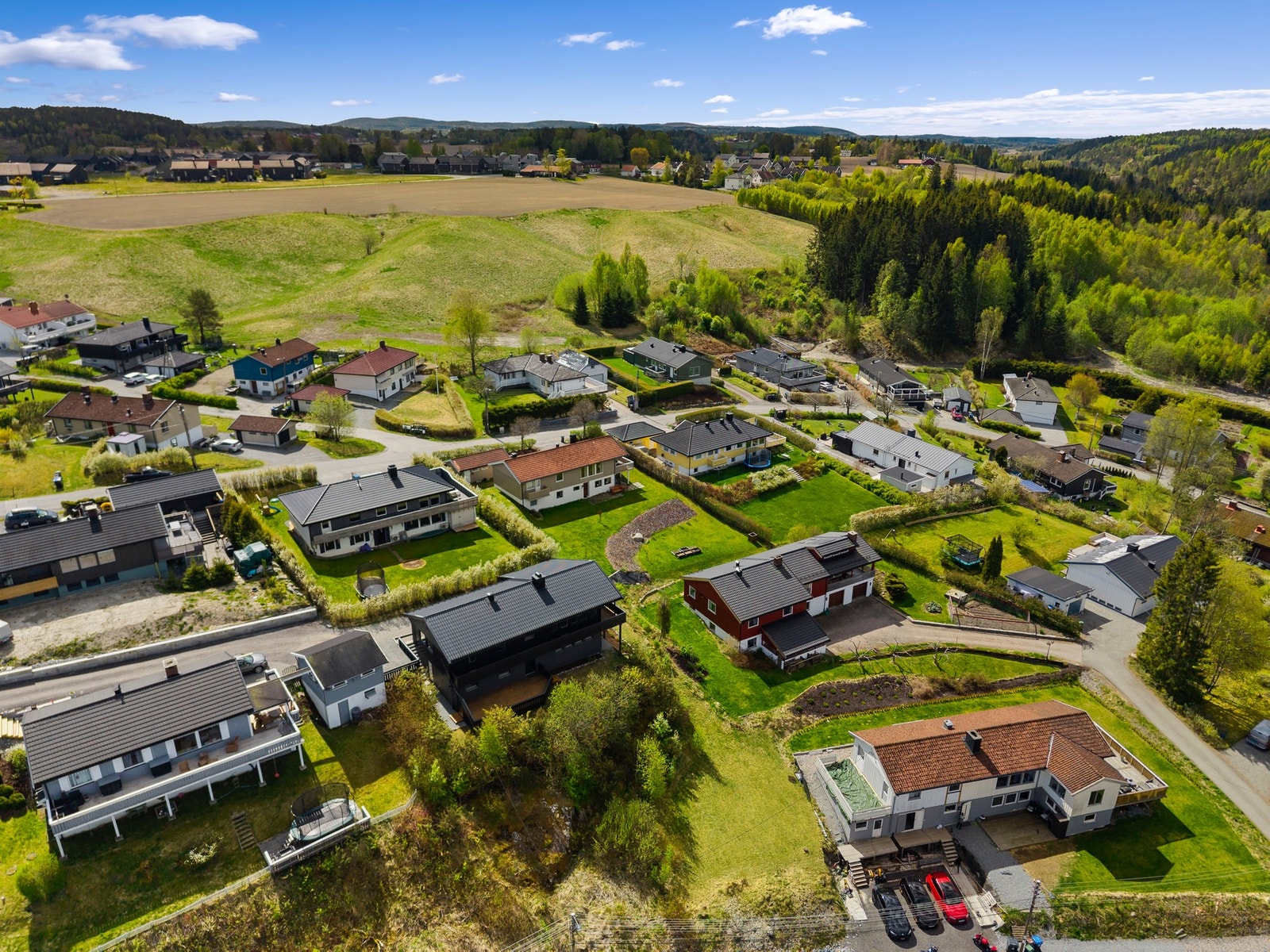 Drone. Galleribilde