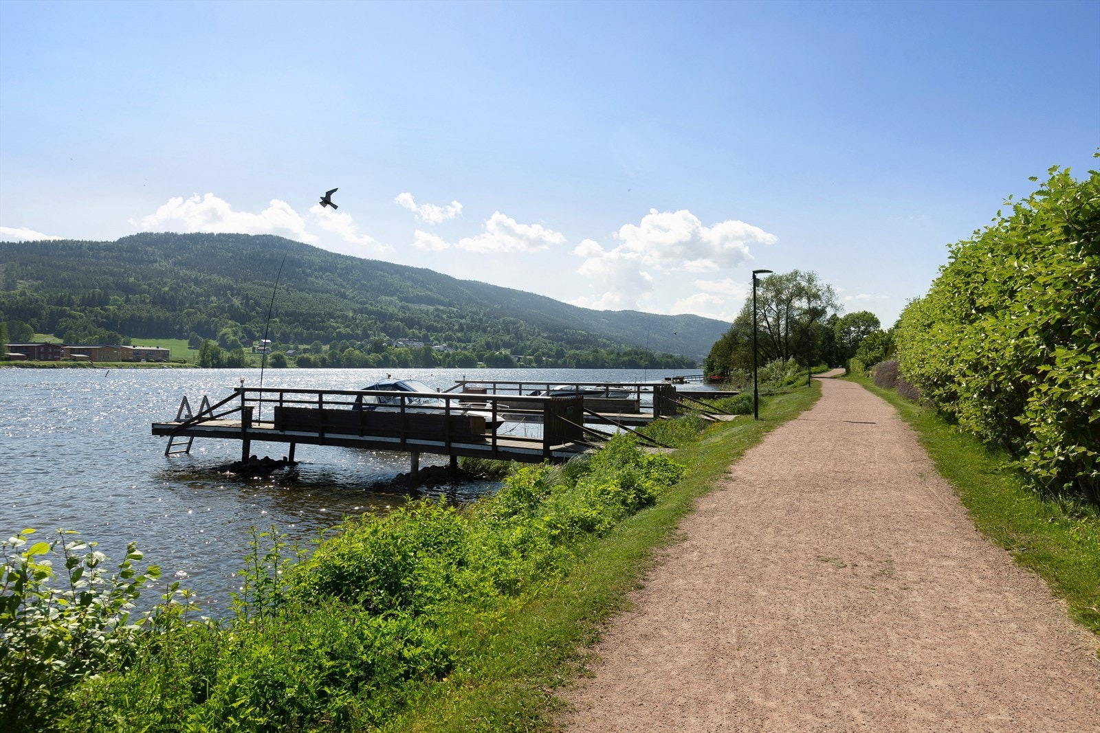Strandpromenaden langs Drammenselva er en flott tur i nærområdet Galleribilde