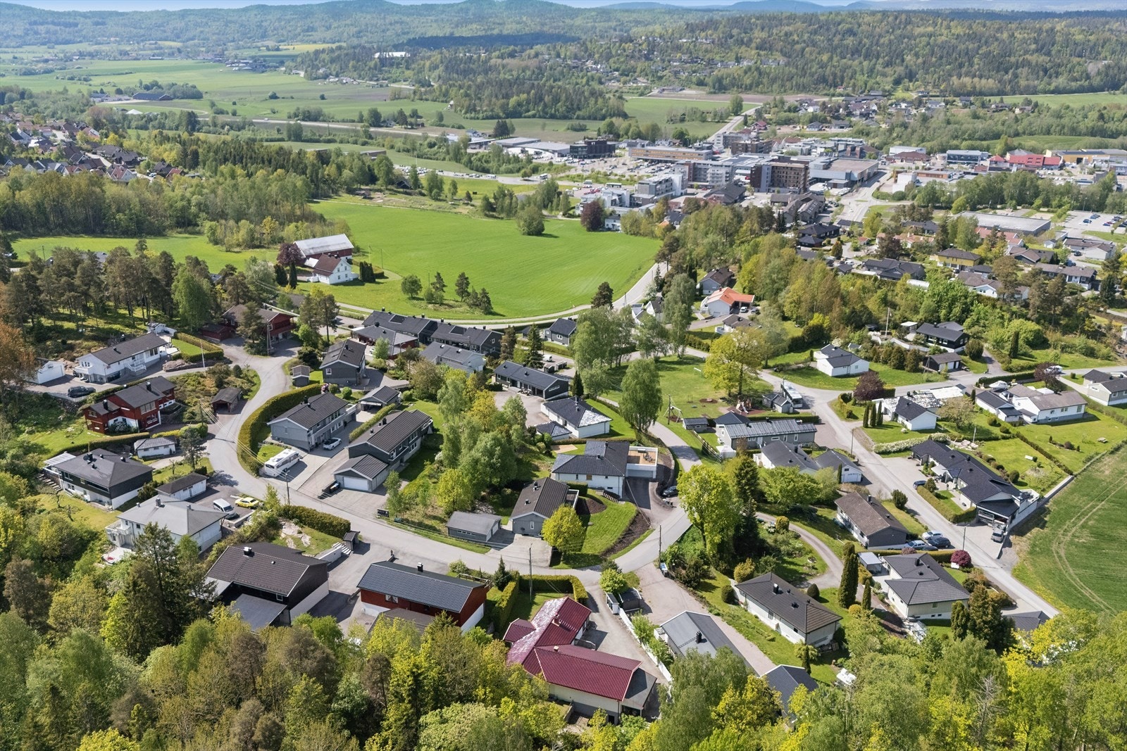 Velkommen til visning! Galleribilde