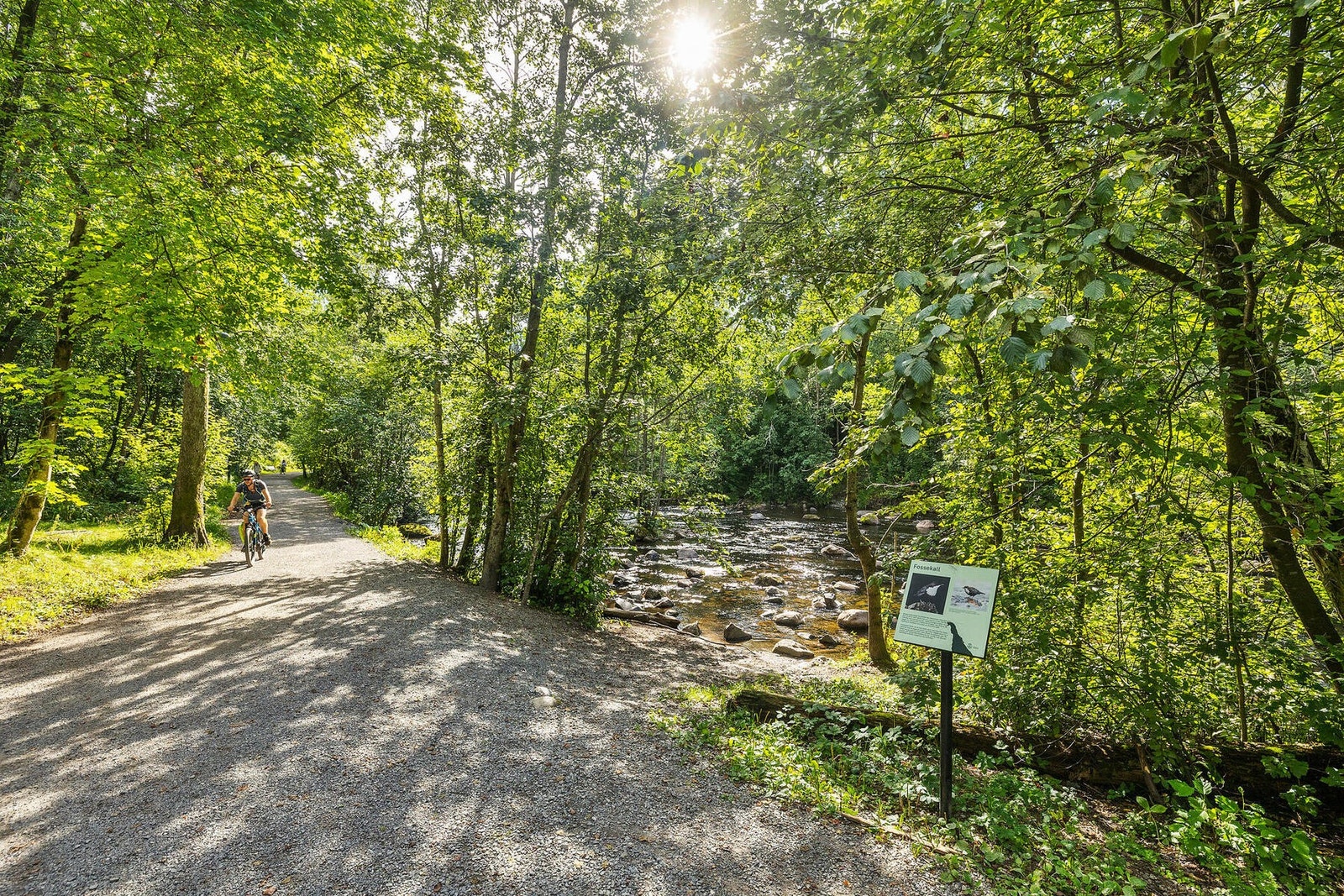 Flotte turområder langs Akerselva Galleribilde