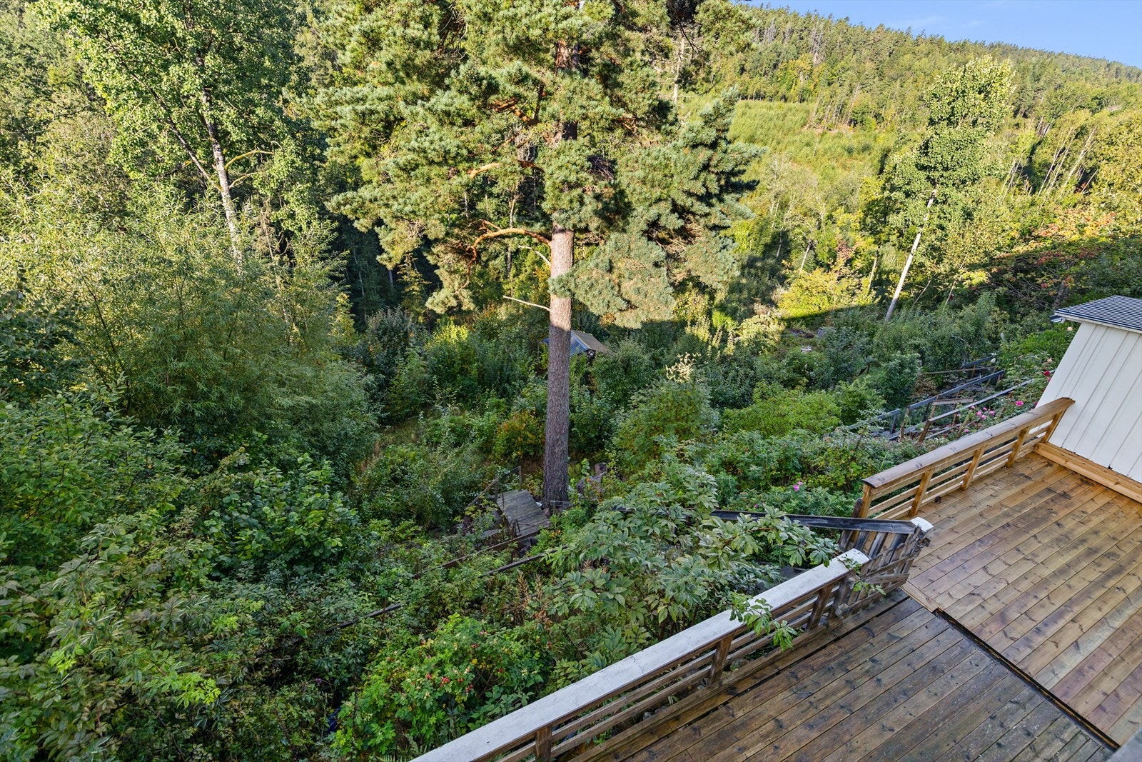 Tomten er opparbeidet med terrasser og naturtomt. Galleribilde