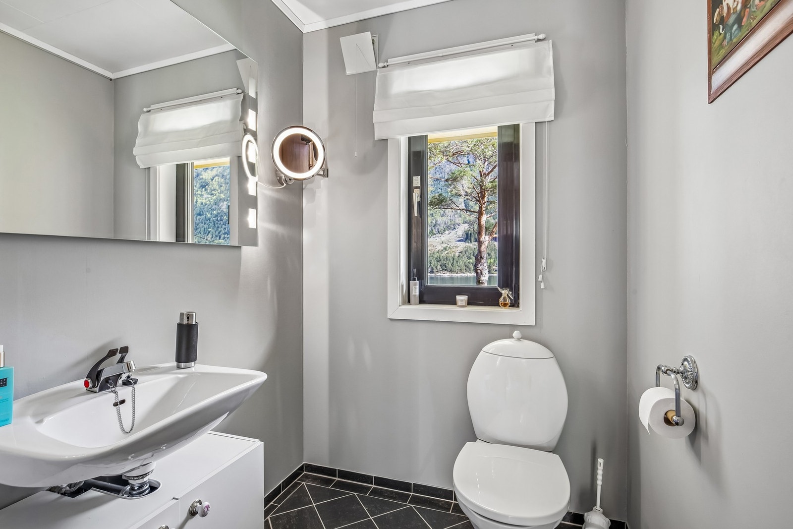 Eget wc-rom Galleribilde