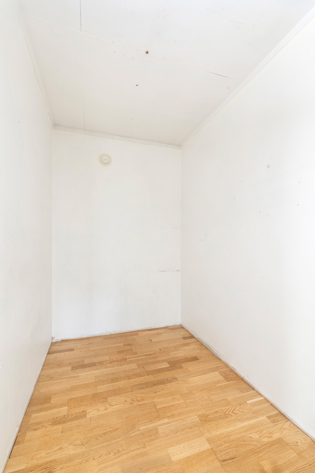 Innvendig bod. Galleribilde