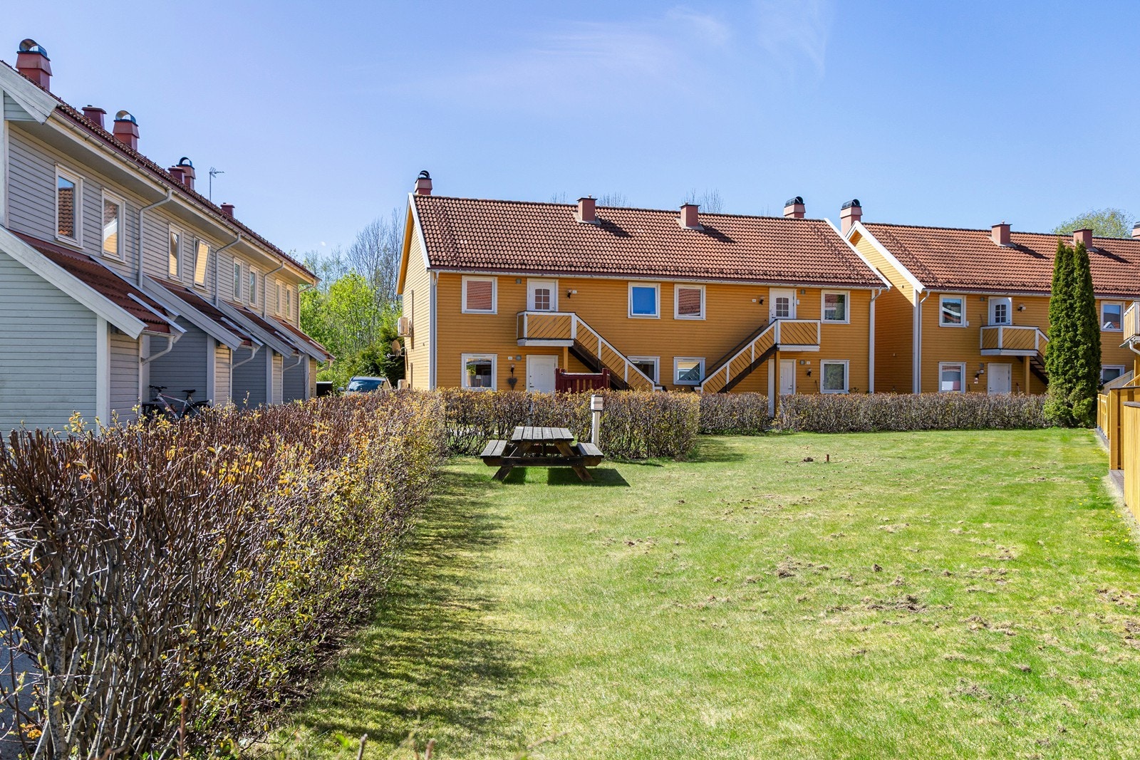 Fellesområde på sameiets tomt med gressplen og benker. Galleribilde