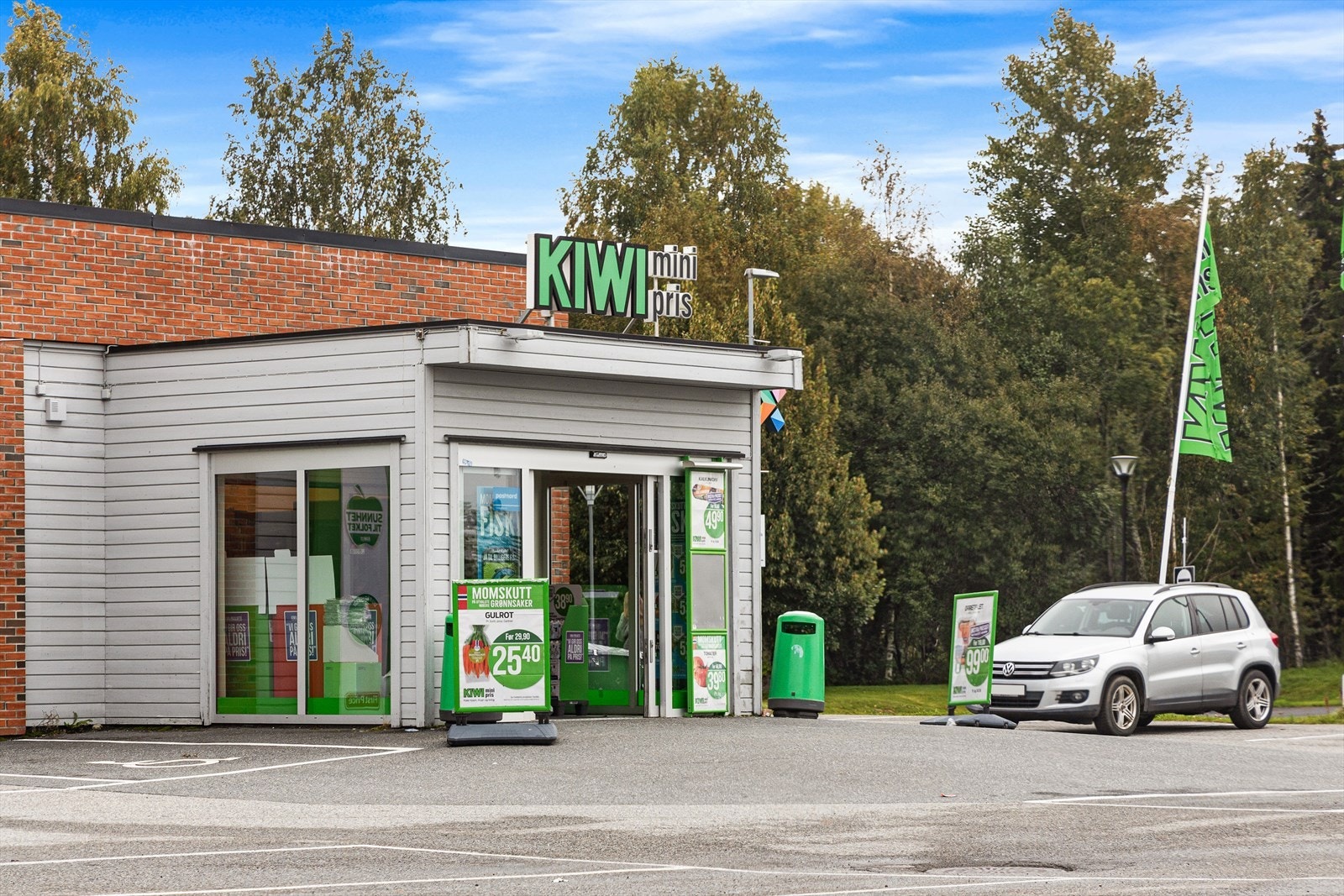 Kiwi Nannestad. Galleribilde