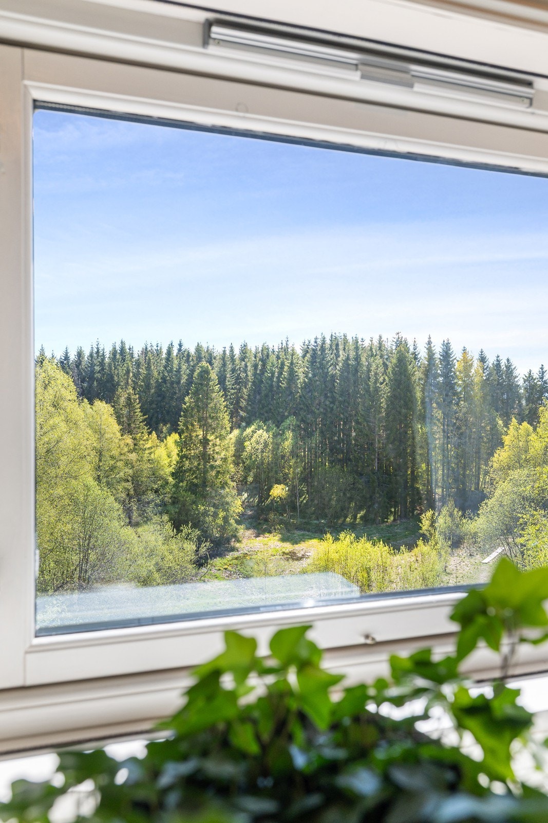 Utsikt fra loftsetasjen. Galleribilde