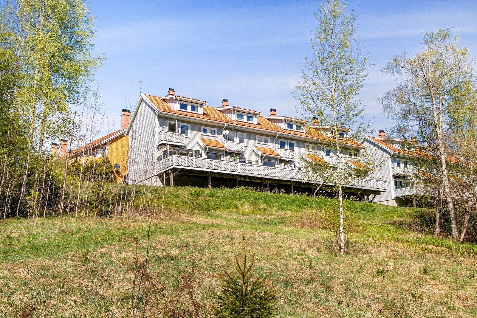 Fasade sett fra friområdet i bakkant av boligen. Galleribilde