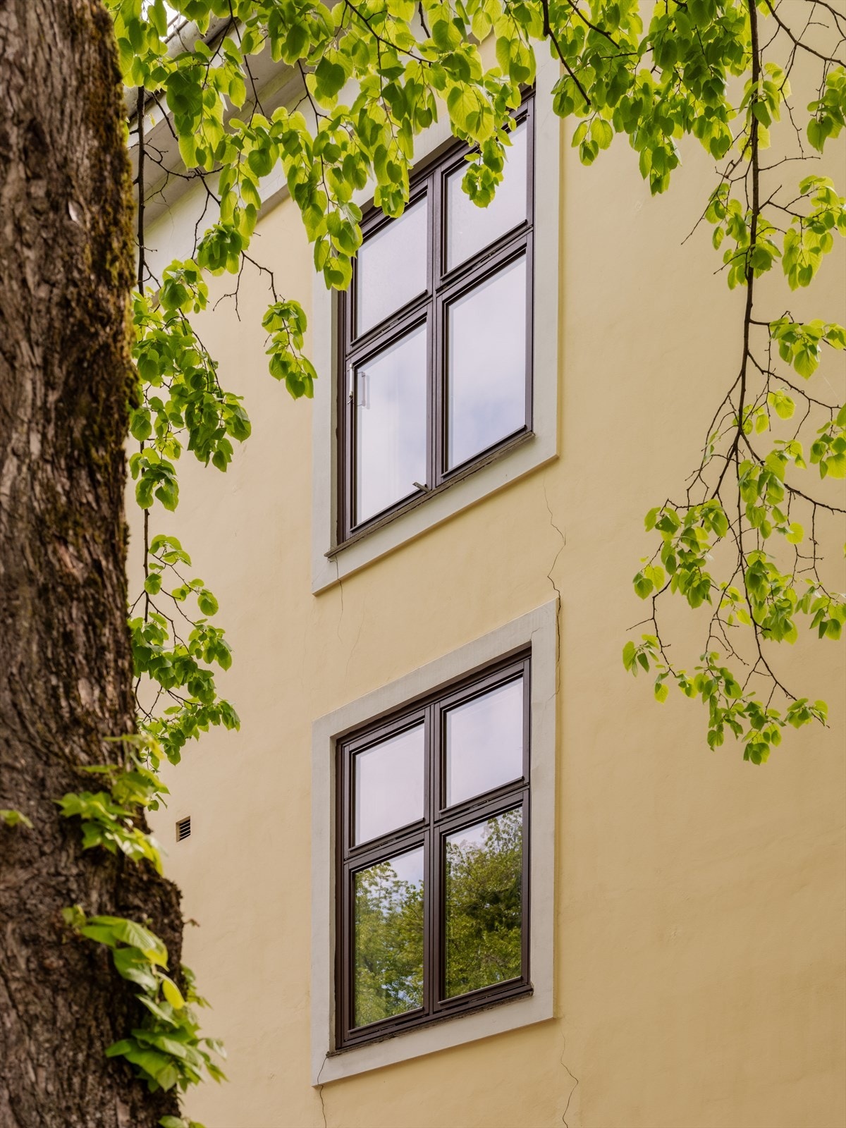 Koselig og velholdt fasade. Galleribilde