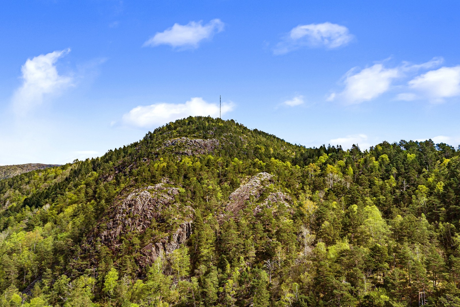 Like ved eiendommen går det tursti til nærmeste fjelltopp, Borgafjellet. Borgafjellet er et populært turmål, 353 m.o.h. Galleribilde