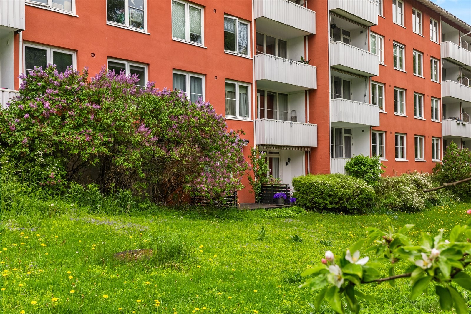 Leiligheten disponerer boder på loft for ekstra lagringsplass. Galleribilde