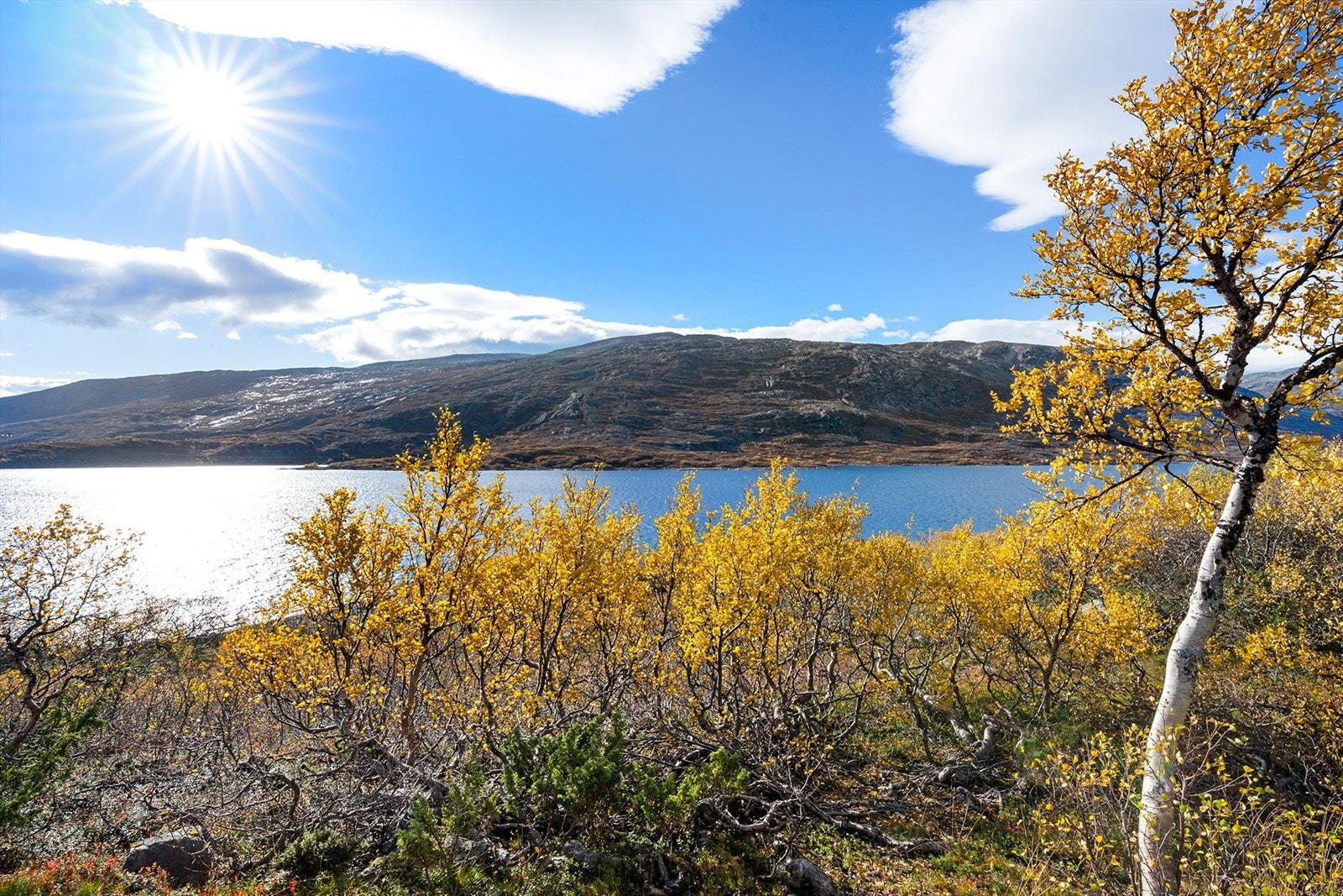 Hytta ligger vakkert til med utsikt over Langvatnet, omgitt av natur. Galleribilde