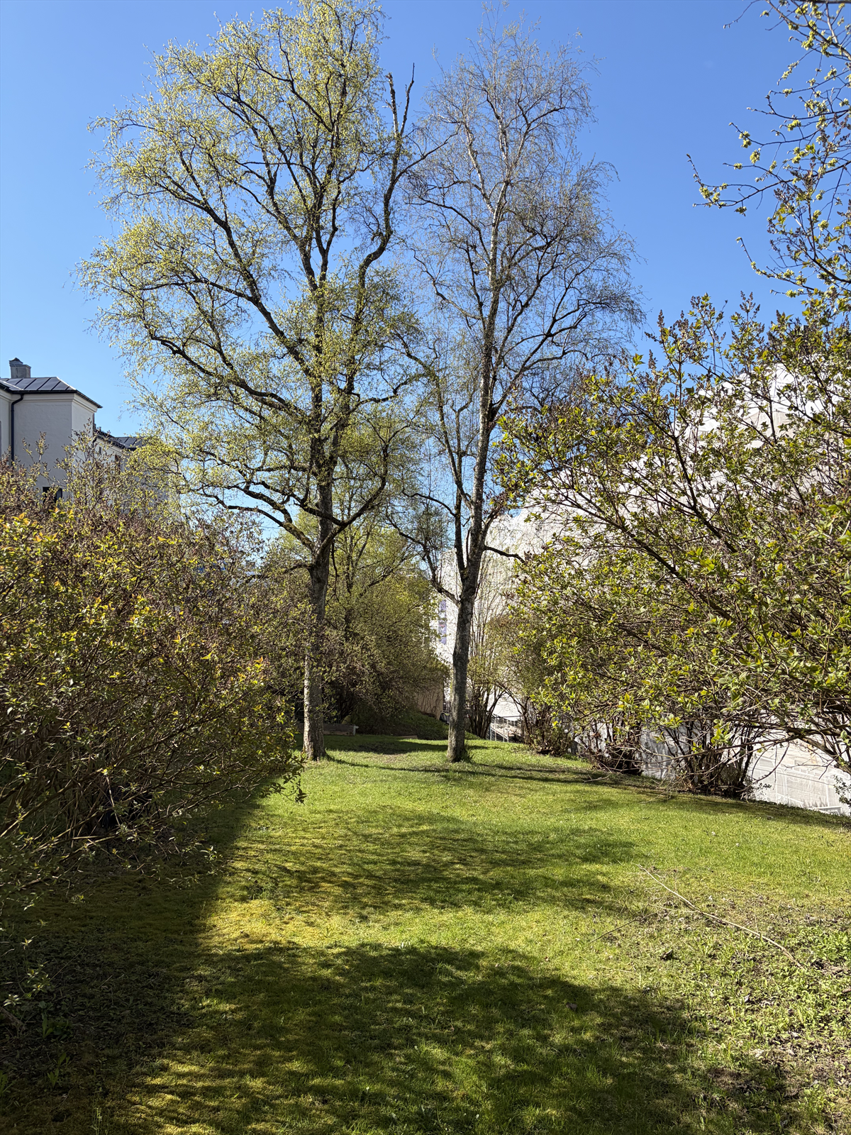 Vakker bakgård med felles sittegruppe og grill. Galleribilde