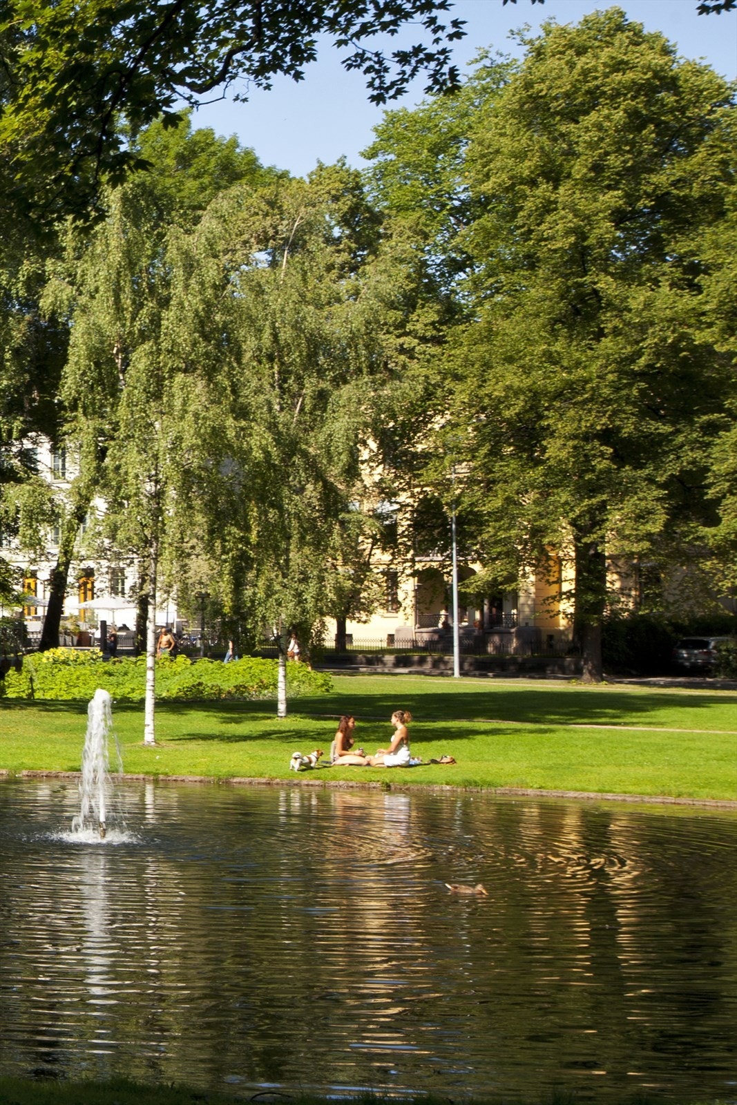 Hyggelige turstier gjennom parken og videre til shopping oppover Hegdehaugsveien og Bogstadveien. Galleribilde