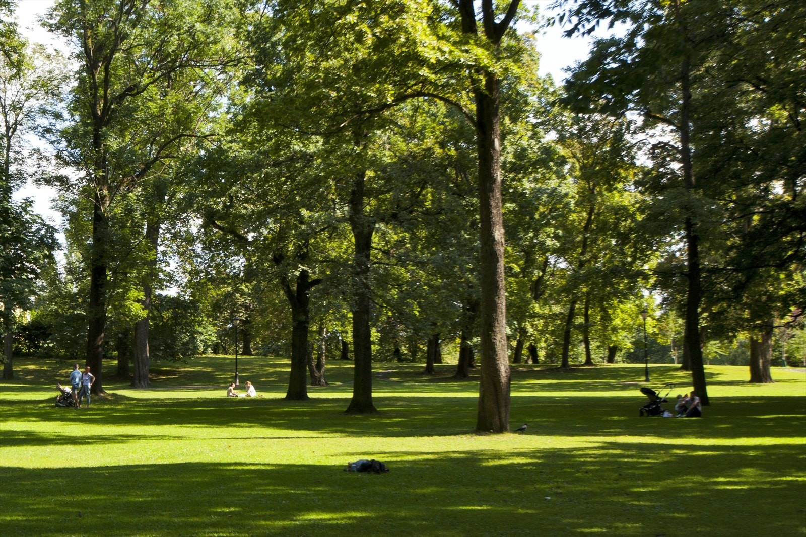 Ca. 200 meter til Slottsparken. Galleribilde