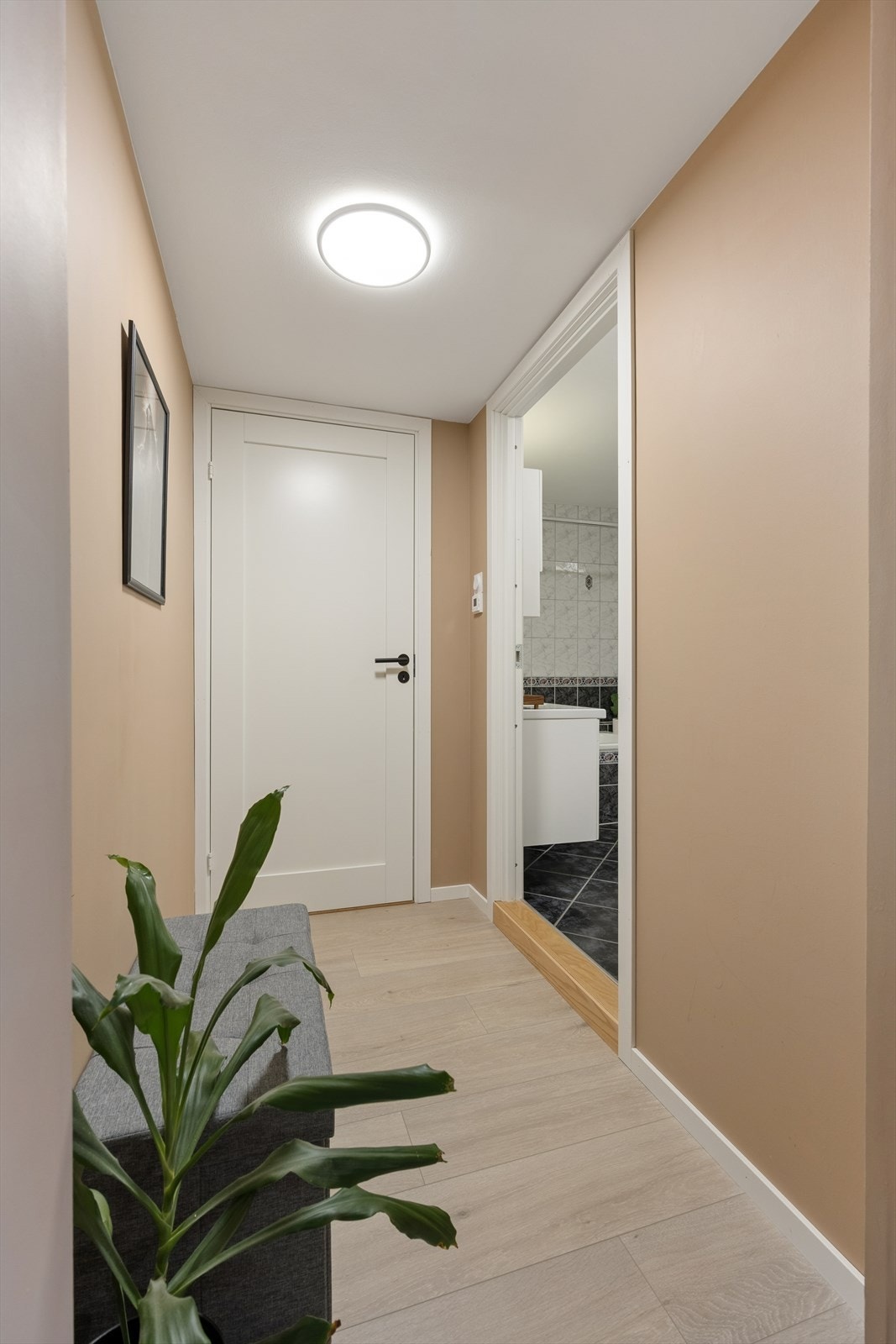 En gang skiller soverommene og badet fra de sosiale sonene. Alle innerdører i leiligheten er nye. Galleribilde